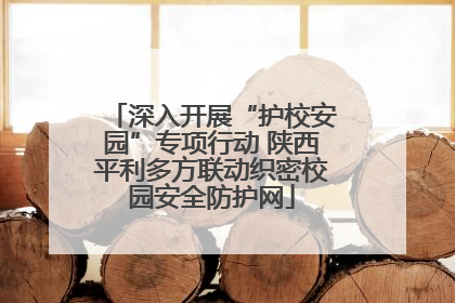深入开展“护校安园”专项行动 陕西平利多方联动织密校园安全防护网